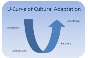 The U-Curve Model illustrates the 4 stages of Cultural Adaptation