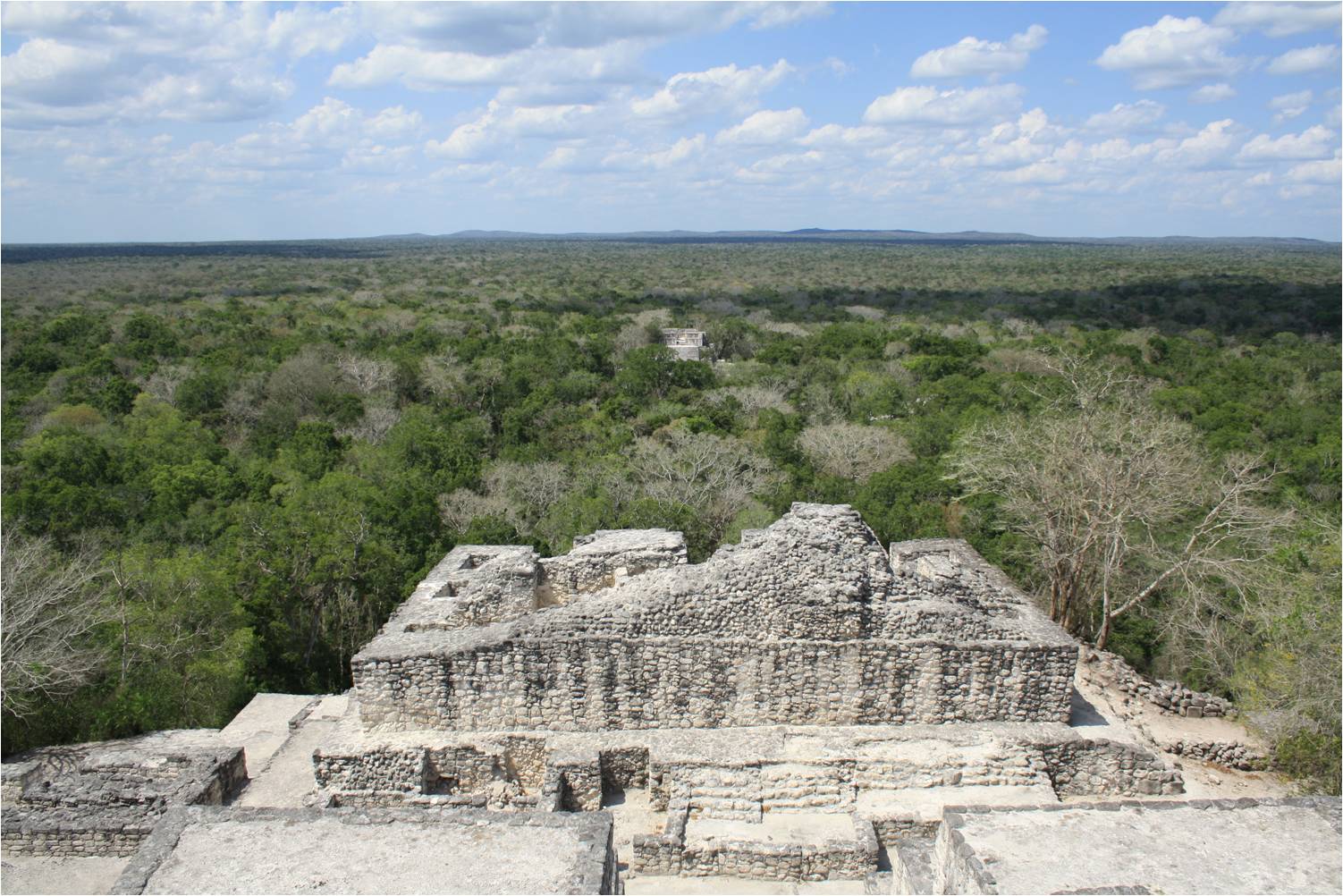 On top of Structure II in the Calakmul Biosphere Reserve