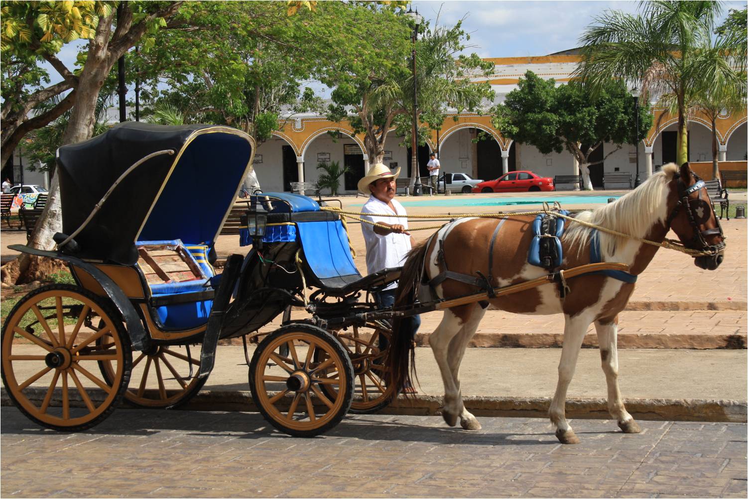 Carriage Tours along the Mayan Ruins